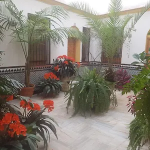 Casa Tipica Cordobesa , Cordoba Spain