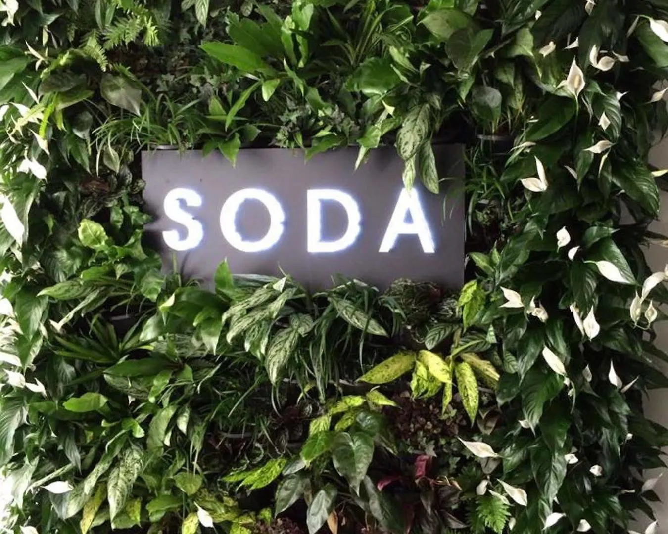 Soda Apartments By Cllix Australia
